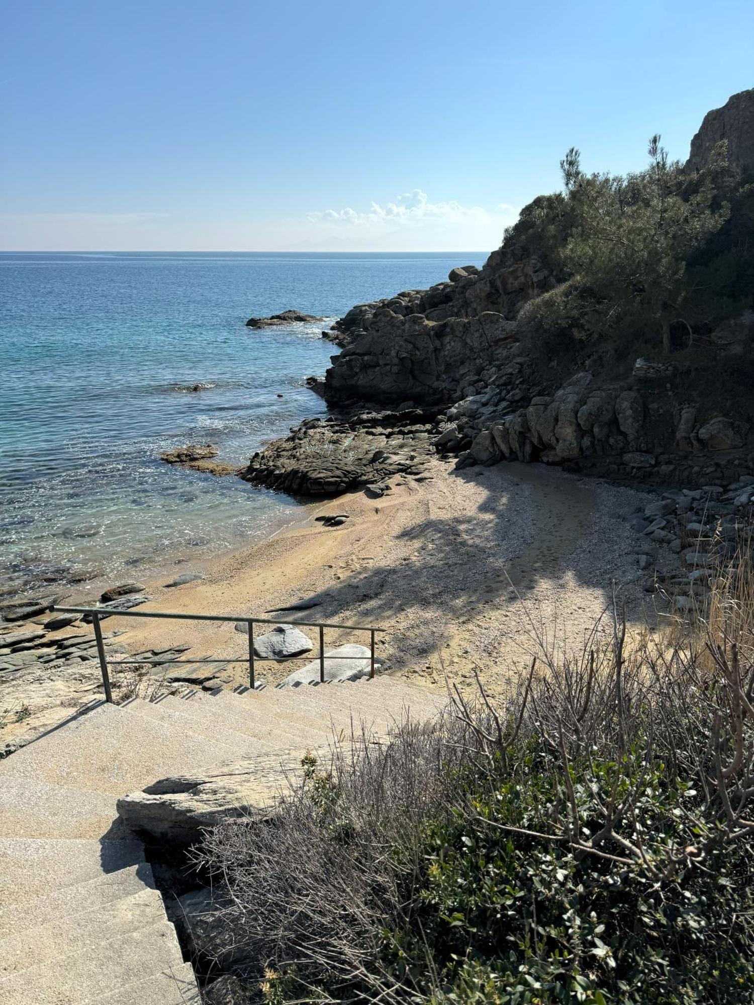 Acra Melia