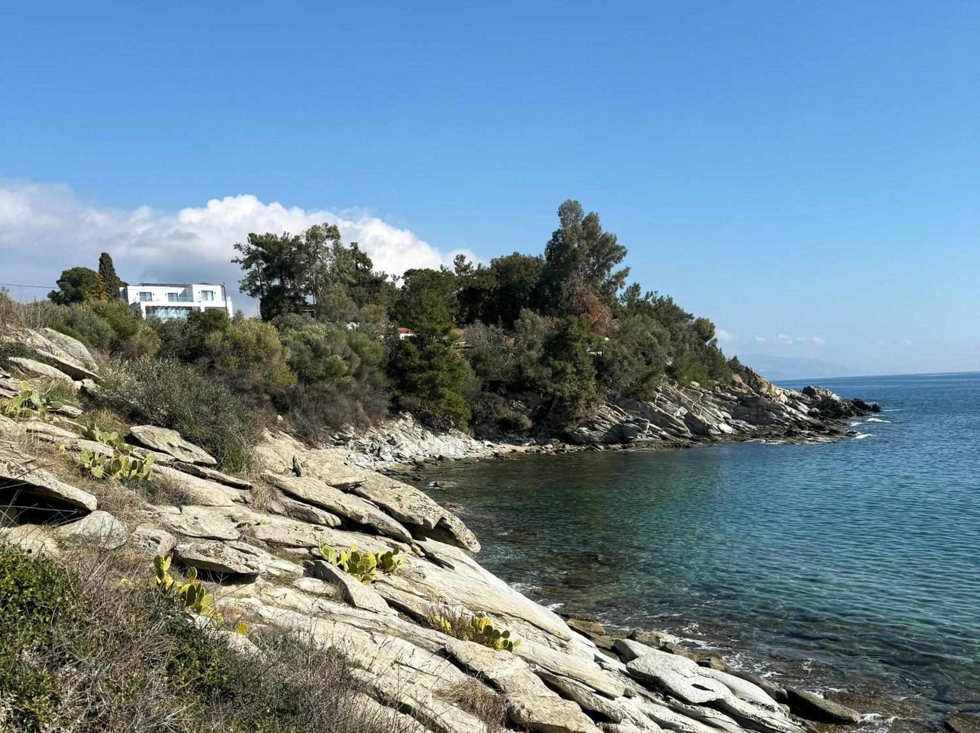 Acra Melia